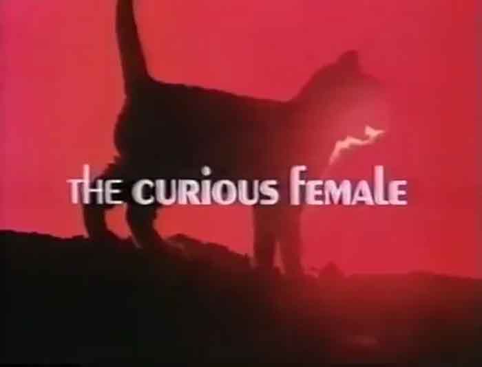 Christopher Riordan in the film The Curious Female.